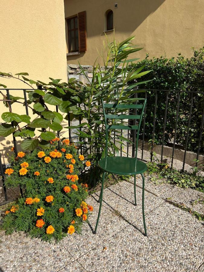 Lakeview Lakecomo, Cipresso 7, 4Seasons, Terrace, 30M To Lake! By Stayhere-Lakecomo Acquaseria Eksteriør billede
